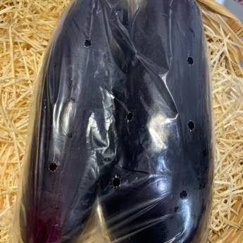 Comprar o produto de Berinjela em Bauru em Legumes em Bauru, SP por Solutudo