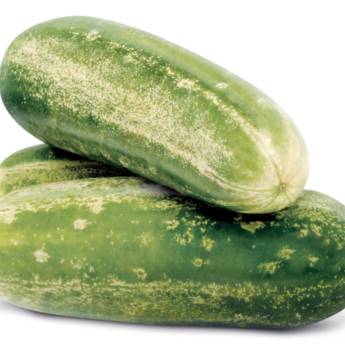 Comprar o produto de Pepino Safira em Bauru em Legumes em Bauru, SP por Solutudo