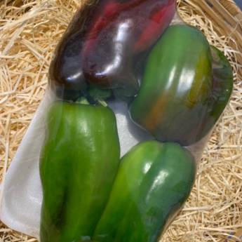 Comprar o produto de Pimentão Verde em Bauru em Legumes em Bauru, SP por Solutudo