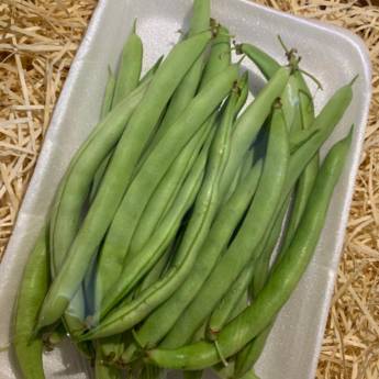 Comprar o produto de Vagem em Bauru em Legumes em Bauru, SP por Solutudo