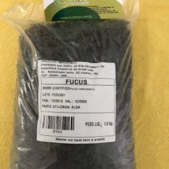 Comprar o produto de Algas em Homeopatia em São Paulo, SP por Solutudo