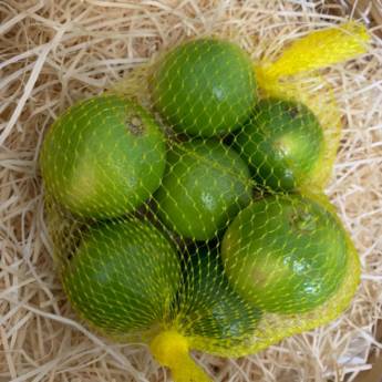 Comprar o produto de Limão em Bauru  em Frutas em Bauru, SP por Solutudo
