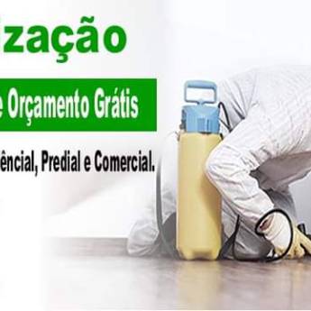 Comprar o produto de Dedetização de Empresas em Avaré  em Dedetização em Avaré, SP por Solutudo