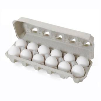 Comprar o produto de Cartela 12 Ovos em Ovos em Bauru, SP por Solutudo