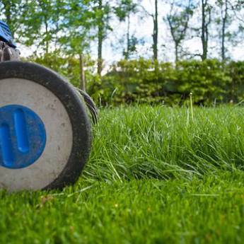 Comprar o produto de Manutenção de jardins em Jardinagem em Salvador, BA por Solutudo