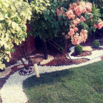 Comprar o produto de Criação de jardim em Casa e Jardim em Salvador, BA por Solutudo