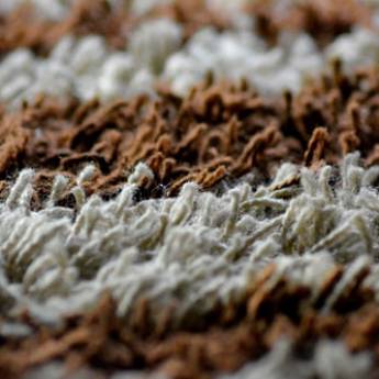 Comprar o produto de  Limpeza e Higienização de tapetes em Limpeza em São Paulo, SP por Solutudo