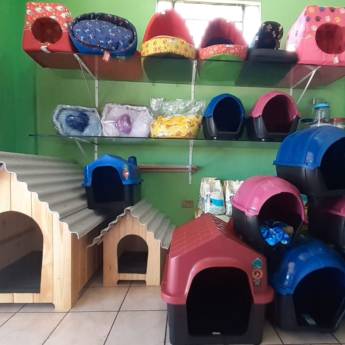 Comprar o produto de Casinha de Cachorro - Vários Modelos em Cachorros em Foz do Iguaçu, PR por Solutudo