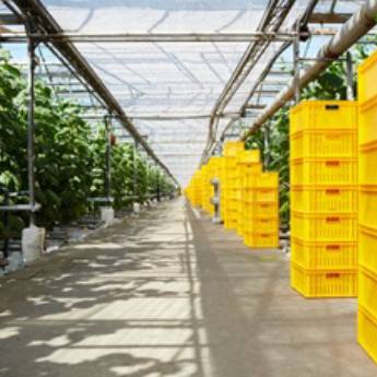 Comprar o produto de Consórcio para o agronegócio em Consórcios em Canoas, RS por Solutudo