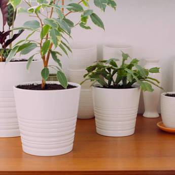 Comprar o produto de Cachepô em Cachepots em Marília, SP por Solutudo