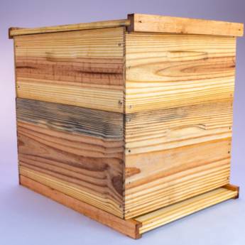 Comprar o produto de Caixa de abelha ninho sobreninho em Produtos para Apicultura em Capão Bonito, SP por Solutudo