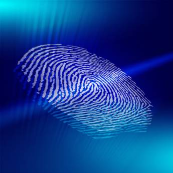 Comprar o produto de Certificado Digital NF-e em Certificação Digital em Curitiba, PR por Solutudo