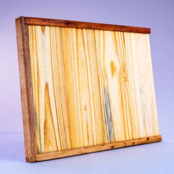 Comprar o produto de Tampa logstroth em Produtos para Apicultura em Capão Bonito, SP por Solutudo