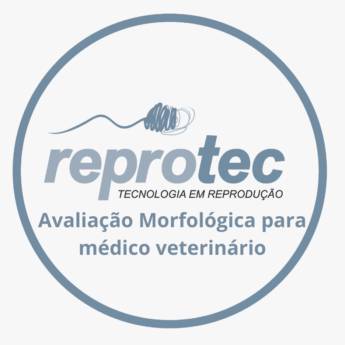 Comprar o produto de Avaliação Morfológica para médico veterinário em Reprodução Animal em Campo Grande, MS por Solutudo