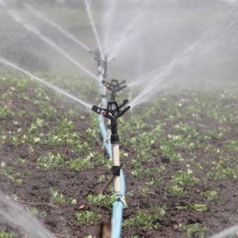 Comprar o produto de Irrigação por aspersão em Bauru em Mangueiras e Irrigadores em Bauru, SP por Solutudo