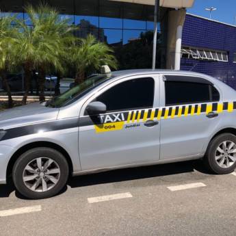 Comprar o produto de Táxi para petshop em Táxi em Jundiaí, SP por Solutudo