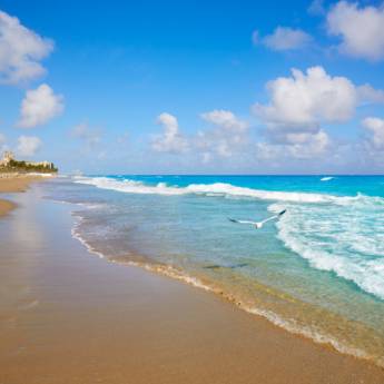 Comprar o produto de Excursão para Praia em Bauru em Viagens e Turismo em Bauru, SP por Solutudo