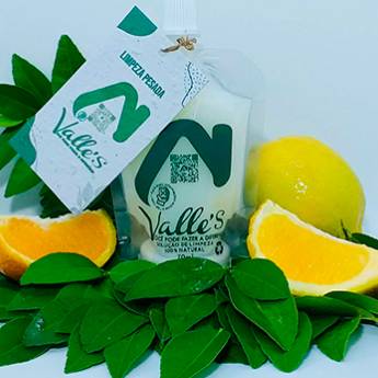 Comprar o produto de Limpeza Pesada em Produtos de Limpeza Naturais - Veganos em Jaú, SP por Solutudo