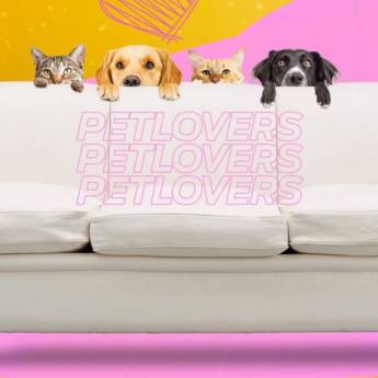 Comprar o produto de Higienização de sofás em Botucatu em Higienização e Lavagem de Carpete - Tapetes - Capachos em Botucatu, SP por Solutudo