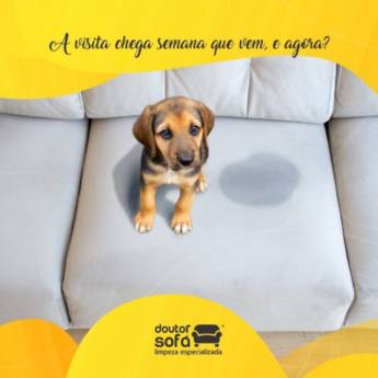 Comprar o produto de Higienização e remoção de odores de sofás em Botucatu em Impermeabilização em Botucatu, SP por Solutudo