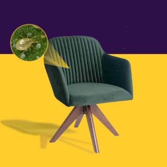 Comprar o produto de Eliminação de ácaros em sofás em Botucatu em Higienização e Lavagem de Carpete - Tapetes - Capachos em Botucatu, SP por Solutudo