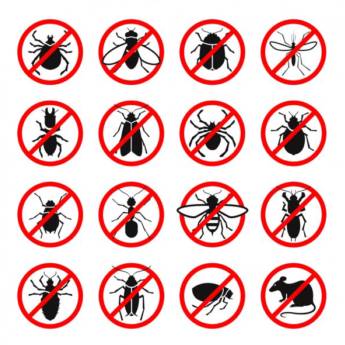 Comprar o produto de Dedetização de Cupins em Dedetização em Niterói, RJ por Solutudo