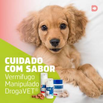 Comprar o produto de Vermífugo em Bauru  em Vermífugo  em Bauru, SP por Solutudo