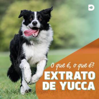Comprar o produto de Extrato de yucca em Bauru em Clínicas Veterinárias em Bauru, SP por Solutudo