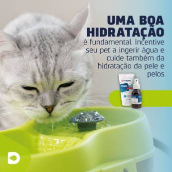 Comprar o produto de Hidratante para Patas em Bauru em Clínicas Veterinárias em Bauru, SP por Solutudo