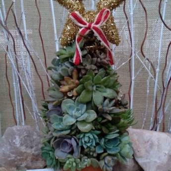 Comprar o produto de Árvore de Natal com Suculentas (sob encomenda) em Peças Decorativas em Jundiaí, SP por Solutudo