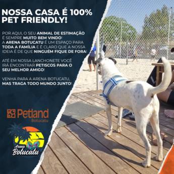 Comprar o produto de Na Arena Botucatu, o seu melhor amigo é muito bem vindo! Nossa casa fica bem mais feliz quando temos um cachorrinho por aqui! em Animais em Botucatu, SP por Solutudo