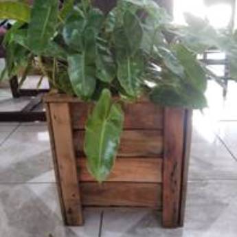 Comprar o produto de Vaso Cachepot de Palets 33 x 37 cm em Vasos de Madeira pela empresa Home Rústico - Artefatos de Madeira em Foz do Iguaçu, PR por Solutudo