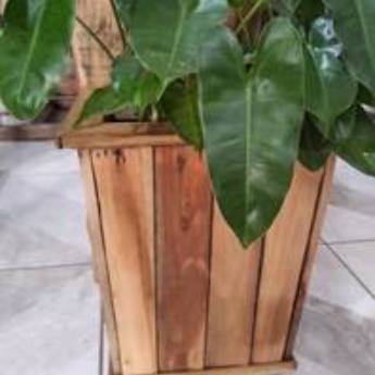 Comprar o produto de Vaso Cachepot de Madeira 85 x34 cm em Vasos de Madeira pela empresa Home Rústico - Artefatos de Madeira em Foz do Iguaçu, PR por Solutudo