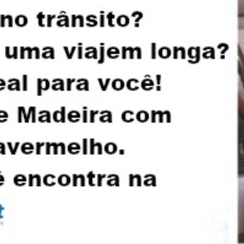 Comprar o produto de Assento de Madeira Magnético em Acessórios em Hortolândia, SP por Solutudo