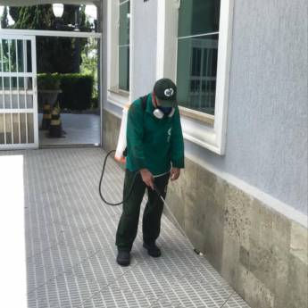 Comprar o produto de Controle de pragas em São Bernardo do Campo  em Dedetizadoras em São Bernardo do Campo, SP por Solutudo