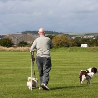 Comprar o produto de Passeador de Cães em Outros Serviços em Ribeirão Pires, SP por Solutudo