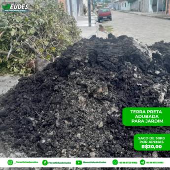 Comprar o produto de Terra Preta Adubada em Terra em Barreirinhas, MA por Solutudo