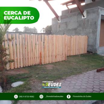 Comprar o produto de Cerca de Eucalipto em Mudas e Eucaliptos em Barreirinhas, MA por Solutudo