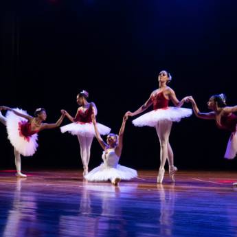 Comprar o produto de Ballet - Juvenil/adulto (iniciante do zero, intermediário  ás pontas) em Danças em Brasília, DF por Solutudo