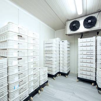 Comprar o produto de Manutenção de Frigorifico  em Frigoríficos em Rio de Janeiro, RJ por Solutudo