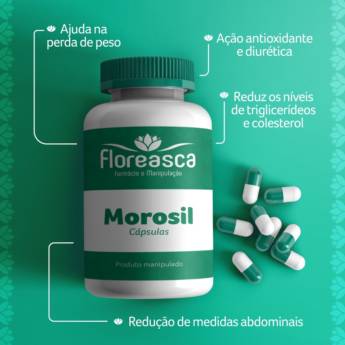 Comprar o produto de Morosil em Cosméticos e Cuidado Pessoal pela empresa Farmácia e Manipulação Floreasca em Foz do Iguaçu, PR por Solutudo