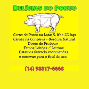 Comprar o produto de Delícias do Porco em Avaré  em Açougues em Avaré, SP por Solutudo