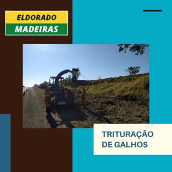 Comprar o produto de Trituração de Galhos  em Madeireiras em Botucatu, SP por Solutudo