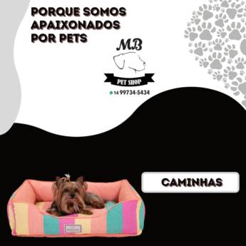 Comprar o produto de Caminhas em Cachorros em Botucatu, SP por Solutudo
