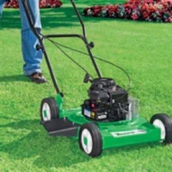 Comprar o produto de Cortadores de Grama à Gasolina (Sob Encomenda) em Jardinagem em Tietê, SP por Solutudo