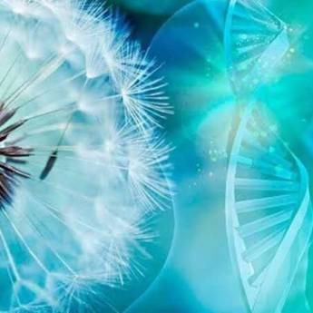 Comprar o produto de Drenagem mental em Terapia Holística em Ourinhos, SP por Solutudo