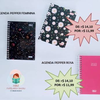 Comprar o produto de Agenda Pepper Feminina - Bauru em Agendas em Bauru, SP por Solutudo