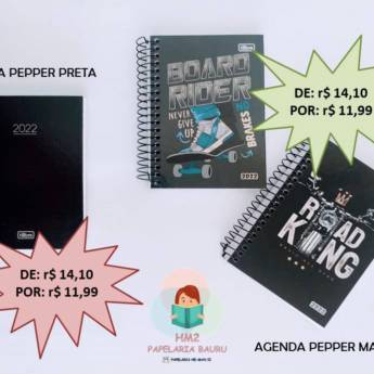 Comprar o produto de Agenda Pepper Masculina - Bauru em Agendas em Bauru, SP por Solutudo