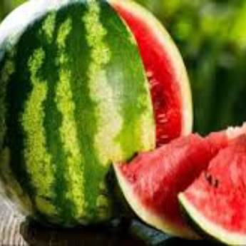Comprar o produto de Melancia em Alimentos em Jundiaí, SP por Solutudo