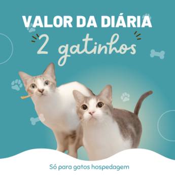 Comprar o produto de Diária para 2 gatos em Gatos em Botucatu, SP por Solutudo